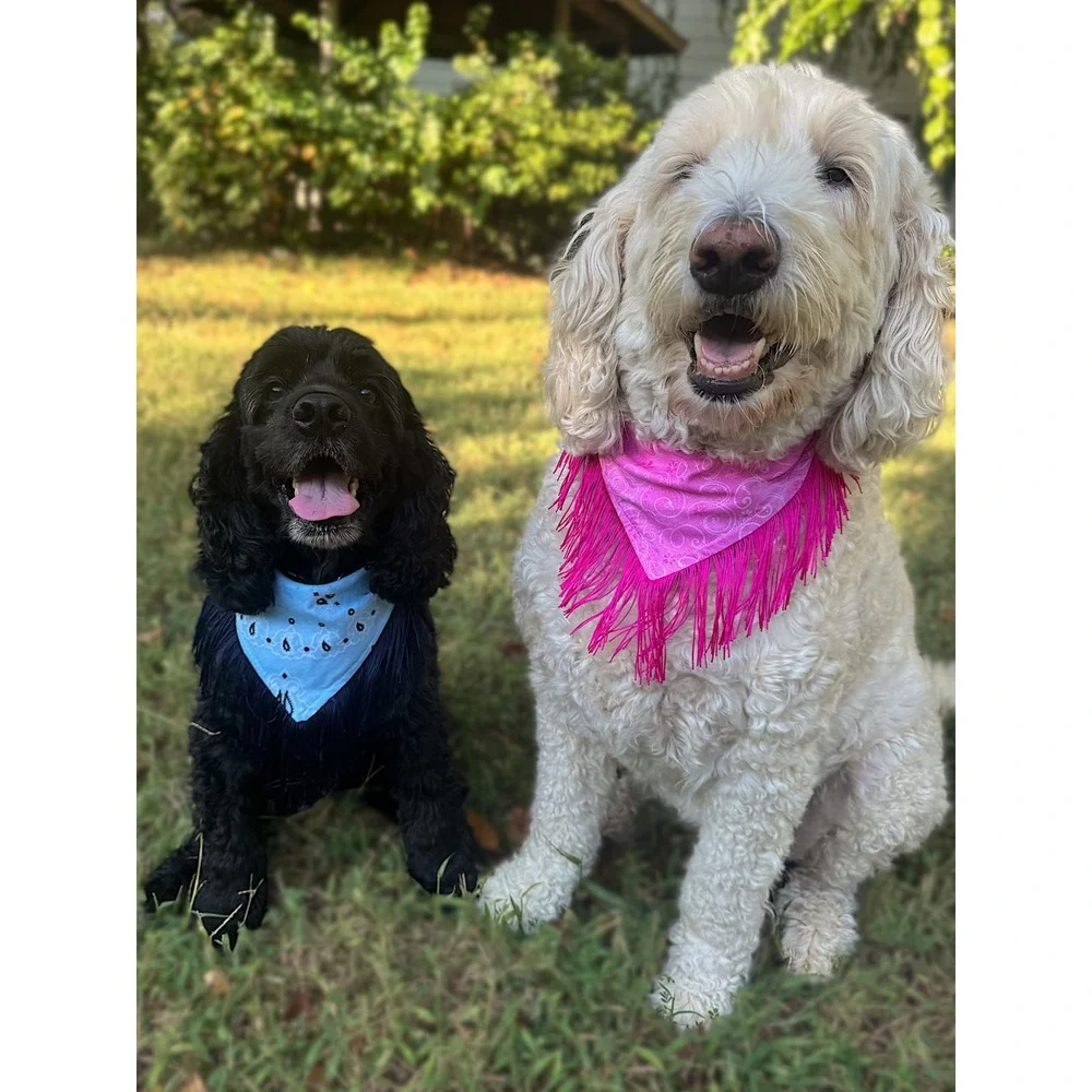 Blue Jean Baby Blue Paisley Fringe Dog Bandana | Handmade Western Pet Accessory